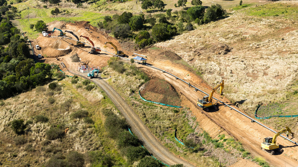 Image courtesy of Diona