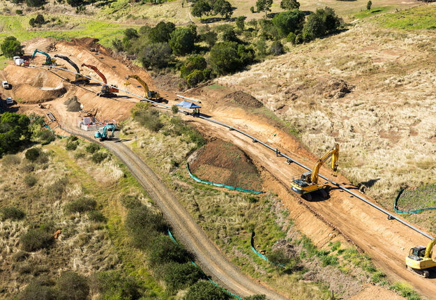 Image courtesy of Diona